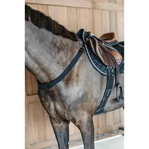 ne06gblc-elastisches-plastron-dy-on-schwarz