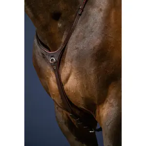 Collier de chasse pour cheval Dy'on Yoke image-1