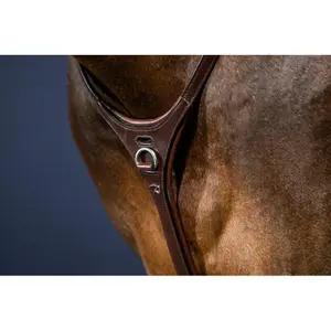 Collier de chasse pour cheval Dy'on Yoke image-2