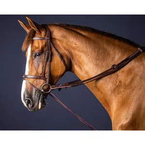 Rédeas de couro e nylon para cavalos Dy'on 5/8 image-0