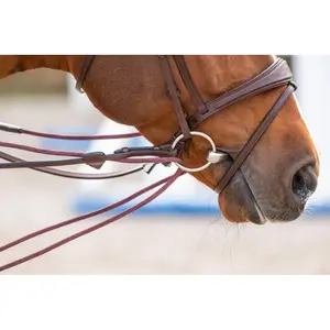 Rédeas de couro e nylon para cavalos Dy'on 5/8 image-1
