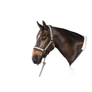 Licol per cob Dy'on Nubuck image-0