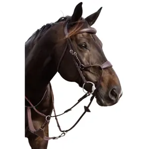 Elastische neusriem voor paard Dy'on Hybride