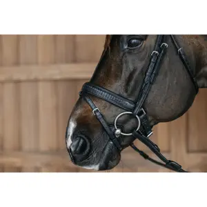 Uzdečka s kombinovanou uzdou z pleteného materiálu a s táhnutím zpět Dy'on image-2