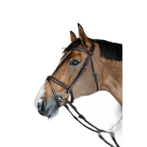 neaoakbrf-bridon-equitation-muserolle-combinee-tressee-dy-on-brun