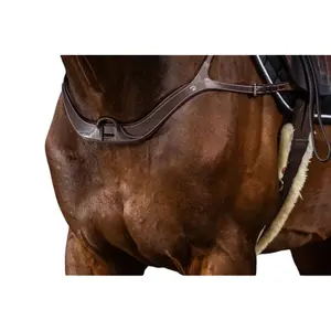 Collier de chasse pour cheval anatomique Dy'on image-1