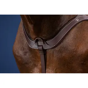 Collier de chasse pour cheval anatomique Dy'on image-2