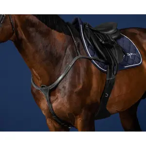 Long bridge hunting collar Dy'on image-0
