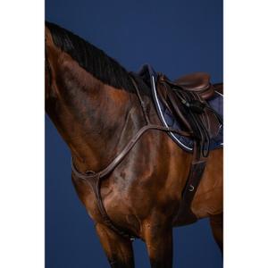 Jagdhalsband für Pferde lange Brücke Dy'on image-1