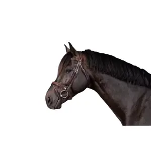 Σέσουλα ιππασίας με συνδυασμένη μασέλα Dy'on image-1