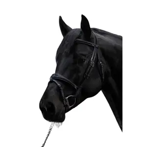 Cabeçada de equitação combinada inglesa com fita nasal anatómica Dy'on image-1