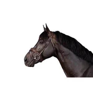 Cabeçada de equitação combinada inglesa com fita nasal anatómica Dy'on image-1