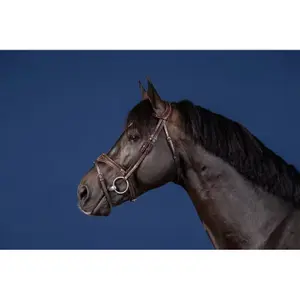 Bridon équitation muserolle combinée anatomique Dy'on image-1