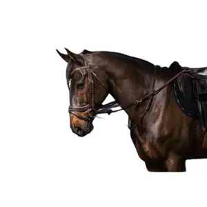 Rédeas para poney em borracha com 7 paradas Dy'on Howlett image-0