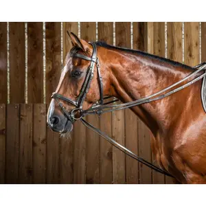 Rênes pour cheval en cuir Dy'on Hunter 1/2 image-0