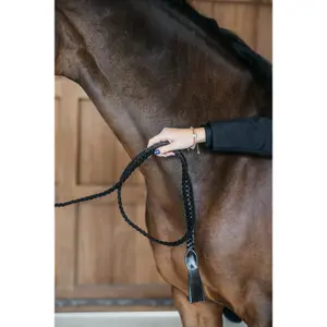 Longe équitation tressée Dy'on image-1