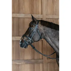 Bridon équitation muserolle combinée avec joues à pression Dy'on image-1
