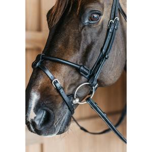 Anatomisch geformte runde Reittrense aus Leder Dy'on image-2