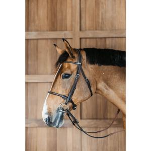 Anatomisch geformte runde Reittrense aus Leder Dy'on image-1