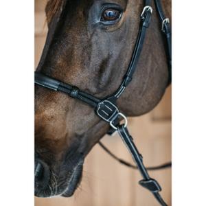 Anatomické otěže bez udidla Dy'on image-3