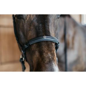 Anatomické otěže bez udidla Dy'on image-4