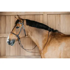 Anatomické otěže bez udidla Dy'on