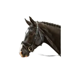 Wide patent combined noseband riding bridle Dy'on