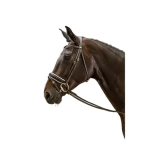 Wide glossy combined noseband bridle with white lining Dy'on image-0