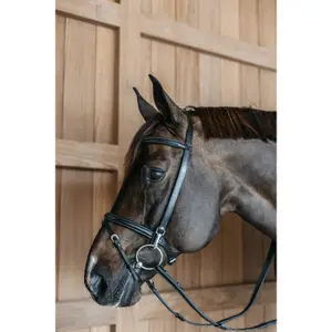 Combined training noseband bridle Dy'on image-1