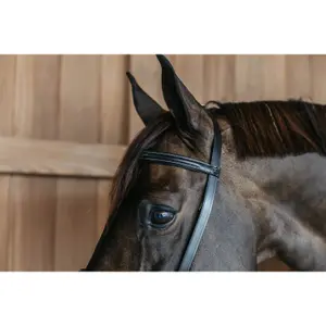 Combined training noseband bridle Dy'on image-3