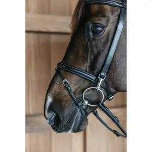 Combined training noseband bridle Dy'on image-2
