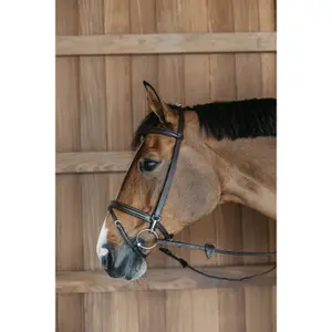 Combined training noseband bridle Dy'on image-1