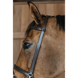 Combined training noseband bridle Dy'on image-2