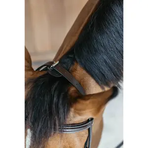 Combined training noseband bridle Dy'on image-3
