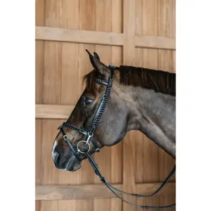 Geflochtene Zäume Reiten Dy'on image-1