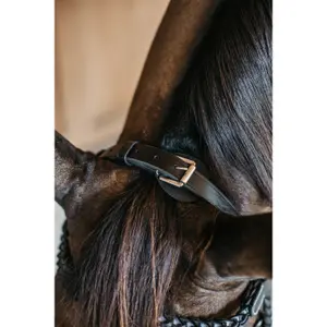 Geflochtene Zäume Reiten Dy'on image-4