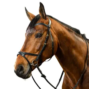 Bridon équitation anatomique muserolle croisée Dy'on X-Fit image-1