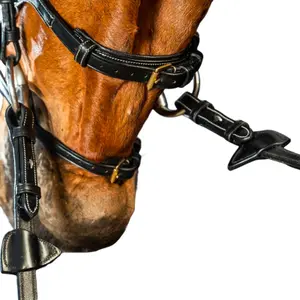 Bridon équitation anatomique muserolle croisée Dy'on X-Fit image-3