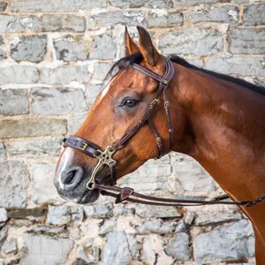 Hackamore für Pferde Dy'on image-1