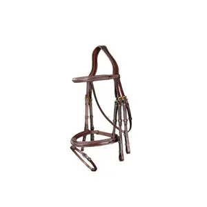 Combined riding bridle and noseband Dy'on Flash image-0