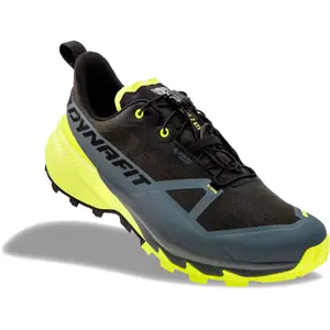 Chaussures d'alpinisme Dynafit Traverse 2 Gtx image-1