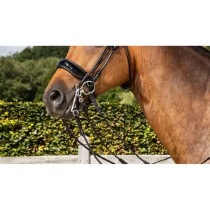 Horse cheek pieces Dy'on image-1
