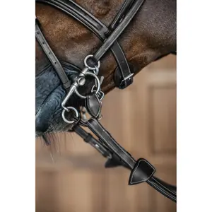 Allians för bitar Dy'on Pelham