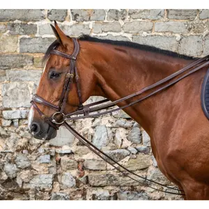 Rênes de tirage 1/2 cuir pour cheval Dy'on image-0