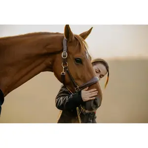 Cabestro de cuero para caballo Dy'on image-1