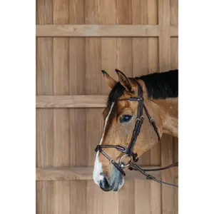 Anatomical round combi-braided riding bridle Dy'on