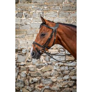 Combined riding bridle and noseband Dy'on Différence image-1