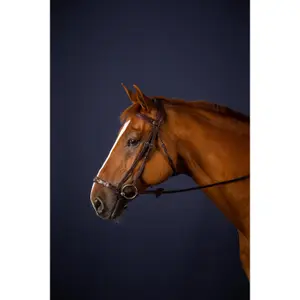 Bridon équitation anatomique muserolle adjustable Dy'on image-1