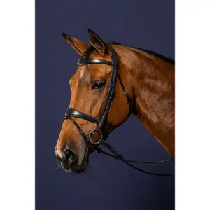 Bridon équitation anatomique muserolle combinée Dy'on image-1