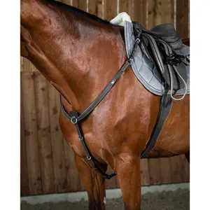 Hunting collar for horse Dy'on image-0